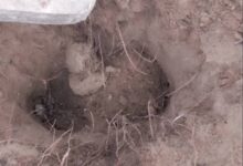One of the desecrated graves.