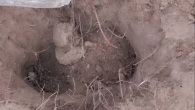 One of the desecrated graves.